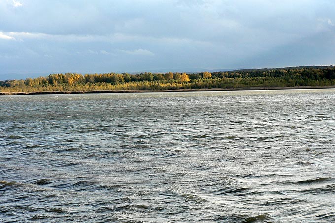 Fischadler brauchen fischreiche Gewässer, wie zum Beispiel der Heerter See bei Salzgitter in Niedersachsen, hier wurde 2014 ein Kunsthorst errichtet. - Foto: Christian Unselt