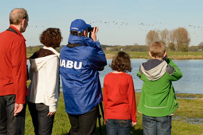 Vogelbeobachtung in der Wedeler Marsch - Foto: NABU/Guido Rottmann