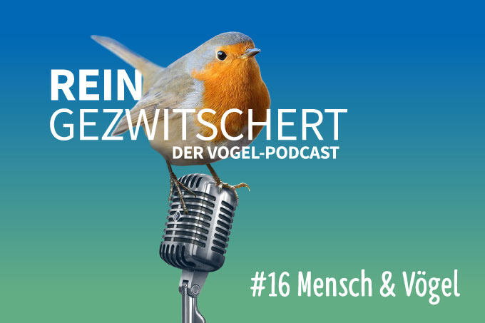 NABU-Vogelpodcast „Reingezwitschert“ – Folge 16: Mensch & Vögel - Foto: NABU/Panorama3000