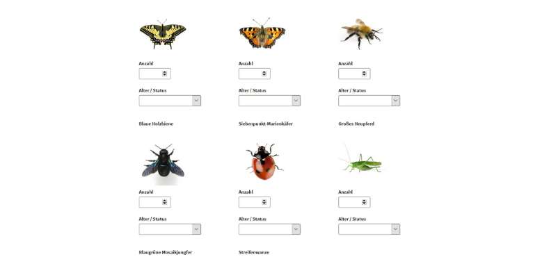 Online-Meldeformular für den Insektensommer
