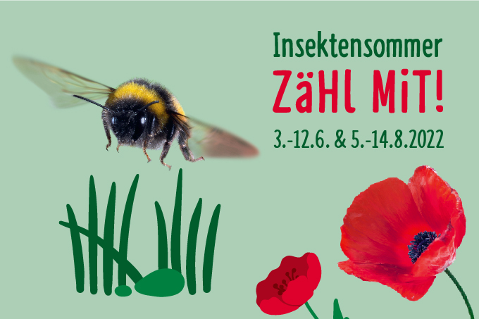 Der Insektensommer ist eine Gemeinschaftsaktion von NABU und LBV und ihres Partners naturgucker.de - Grafik: NABU