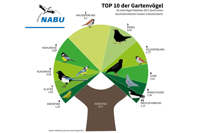 Baumgrafik: Häufigkeit der Vögel 2017