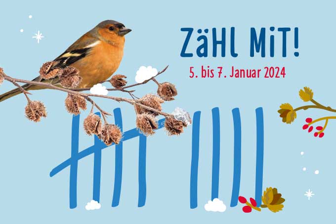 Stunde der Wintervögel 2024 - Grafik: NABU/Wigwam