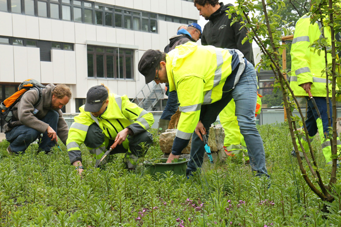 Flächenpflege beim Natur nah dran-Workshop in Ludwigsburg