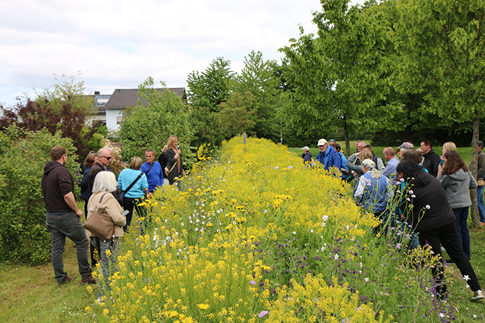 Die neuen Projektkommunen besichtigen einen blühenden Saum in Wiesloch. Foto: NABU/K. Wörner