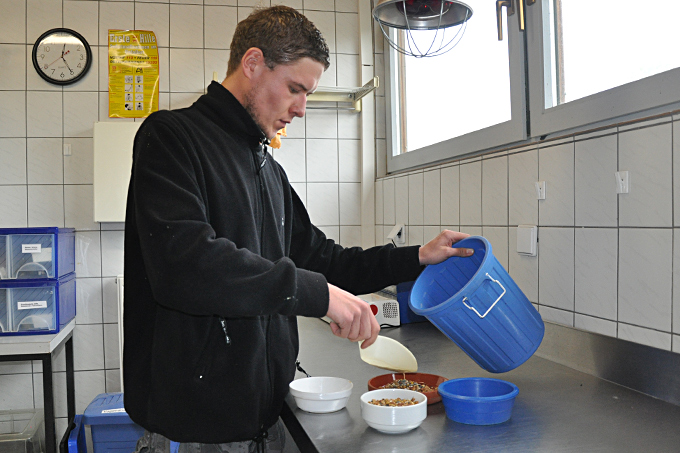 Vogelfutterzubereitung im Vogelschutzzentrum Mössingen.  - Foto: Bianka Lungwitz