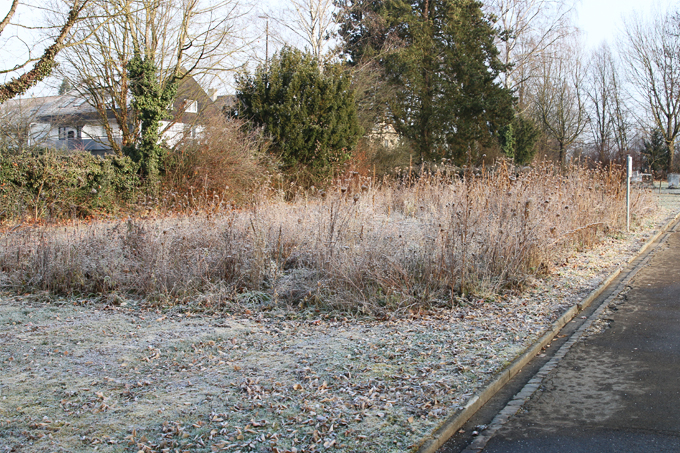 Natur nah dran in Wendlingen im Winter 2020.