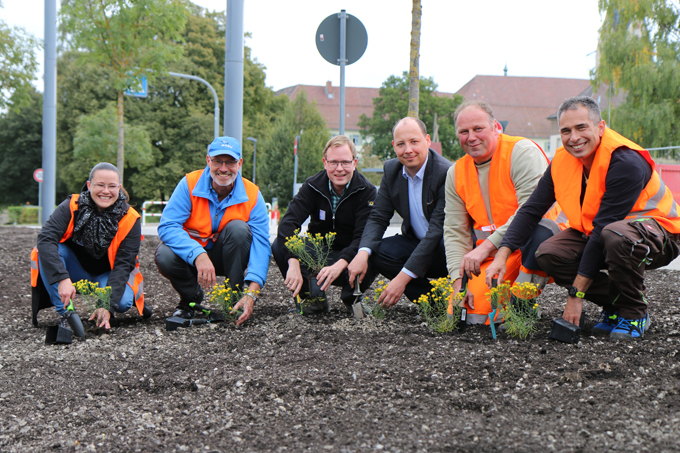 Die Verantwortlichen aus Rottweil, Bürgermeister Christian Ruf und Martin Klatt vom NABU pflanzten gemeinsam Wildstauden ein.