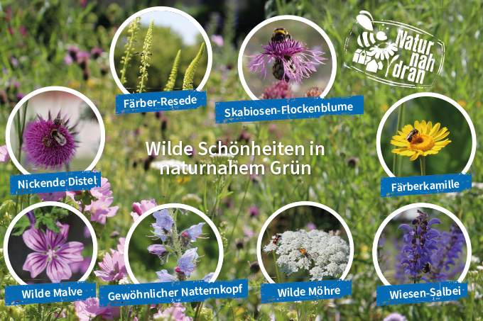 Wilde Schönheiten in naturnahem Grün