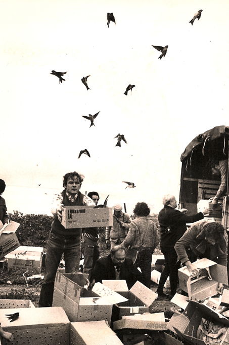 Schwalbenrettungsaktion 1974 - Foto: NABU