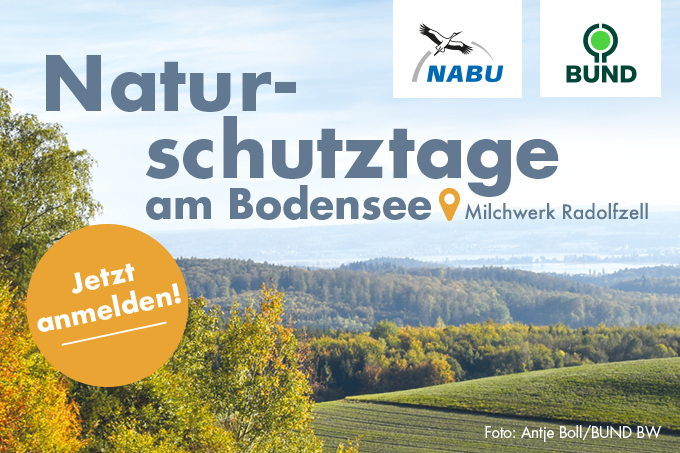 Naturschutztage in Radolfzell - Foto: BUND/Antje Boll