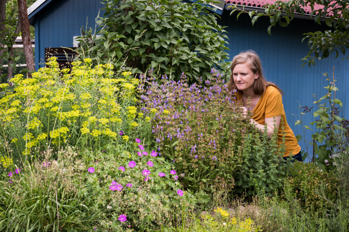 Der NABU gibt Tipps, wie sich ein naturnaher Garten anlegen lässt. Foto: NABU/Sebastian Hennigs