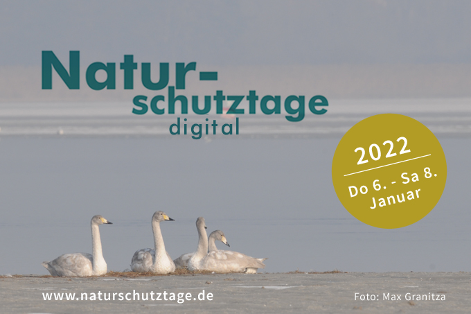 NABU und BUND starten 45. Naturschutztage komplett digital. Foto: Max Granitza