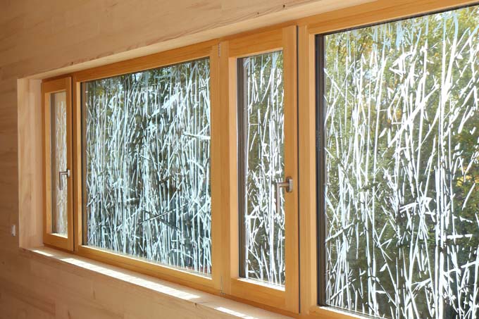 Die Fenster im Bodenseezentrum sind aus Vogelschutzglas. - Foto: NABU/Hannes Schweikardt
