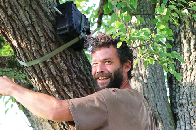 Ein Ehrenamtlicher hängt einen Mini-Batcorder in den Baum. - Foto: NABU/Kathrin Baumann