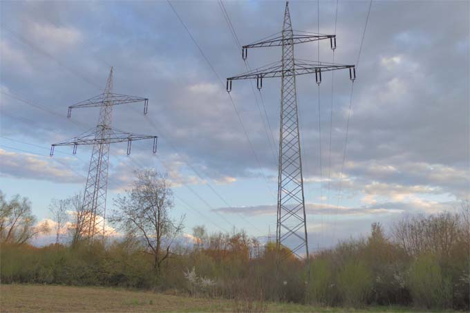 Stromverteilnetz bei Laupheim - Foto: NABU Baden-Württemberg