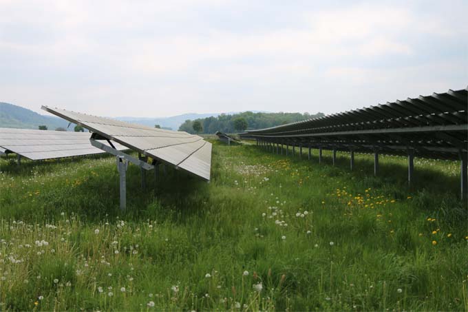 Photovoltaik-Freiflächenanlage - Foto: NABU/Katharina Maaß
