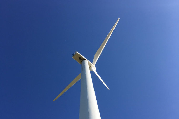 Ausbau von Windenergie gelingt nur mit Artenhilfsprogrammen