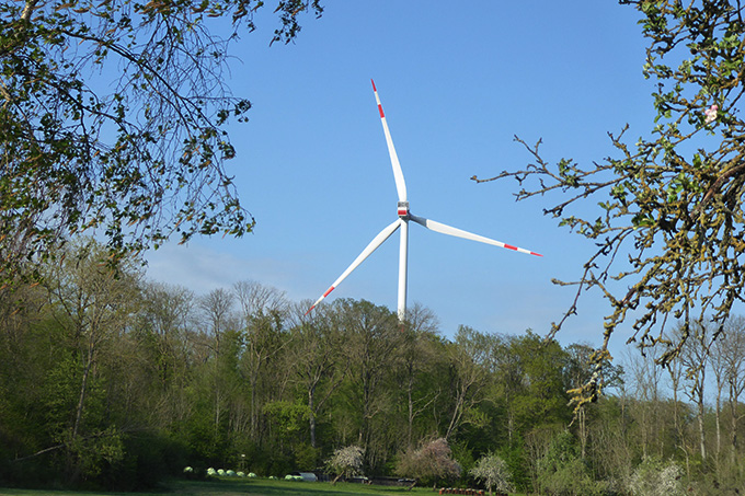 Der NABU ist für Windenergieanlagen in konfliktarmen Bereichen. - Foto: NABU/Andrea Molkenthin-Keßler