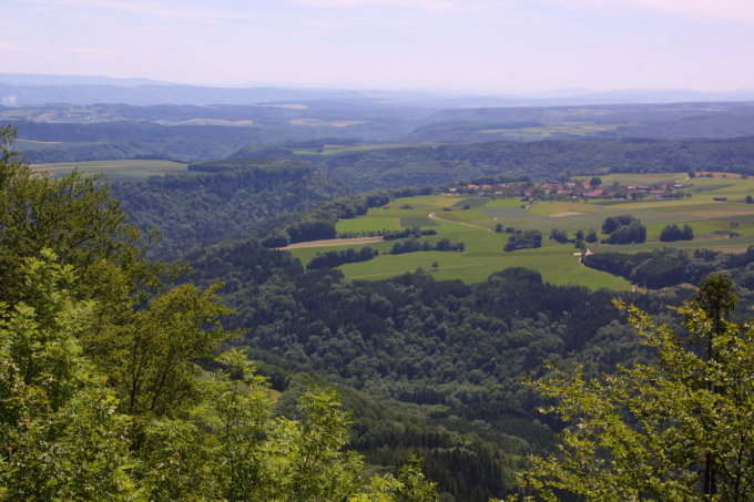 Die Forschung zur Mopsfledermaus in Baden-Württemberg konzentriert sich auf die Alb-Wutach-Region - Foto: FrInaT