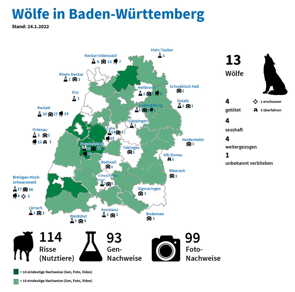 Wölfe in Baden-Württemberg – Infografik Karte NABU Baden-Württemberg