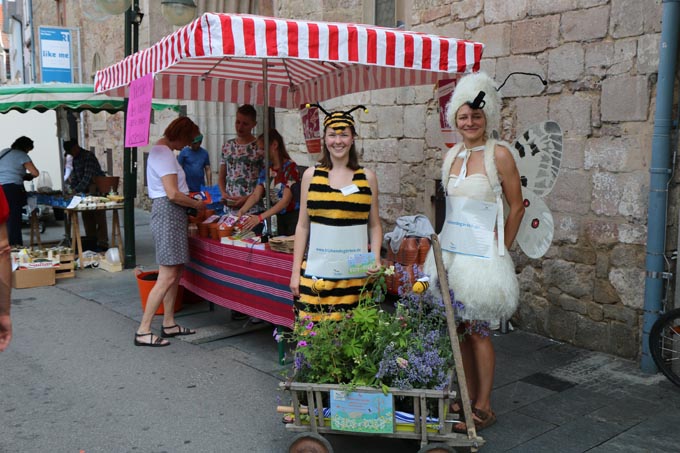 Das Projektteam hat auf Märkten gezeigt, welche Pflanzen Schmetterlingen und Bienen im Garten helfen. - Foto: NABU BW