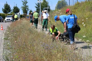 Gemeinsame Pflege einer Wildblumenwiese in Ilsfeld. Foto: NABU/A. Marquardt