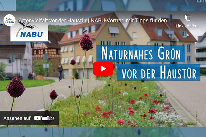 NABU-Vortrag "Artenvielfalt durch naturnahes Grün" mit Tipps für Privatgärten.