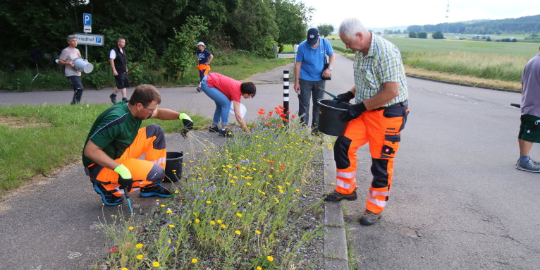 Mitarbeitende der „Natur nah dran“-Kommunen pflegten gemeinsam die Flächen in Marbach und Renningen. Foto: NABU/A. Marquardt