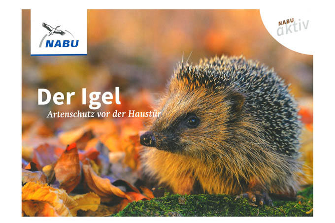 NABU Produkt der Woche: Der Igel - Artenschutz vor der Haustür