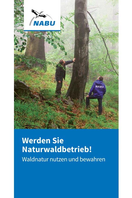 Flyer NABU-Naturwaldbetriebe - Auflage 2, 2022 - Titelfoto