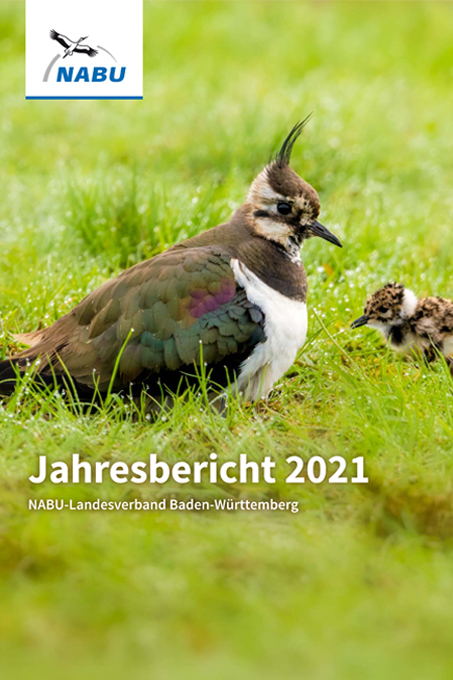 Die Titelseite NABU-Jahresbericht 2021 zeigt einen Kiebitz mit einem Küken. - Foto: NABU/Christoph Bosch