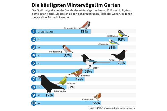 Die Grafik zeigt die bundesweiten Ergebnisse. In Baden-Württemberg lagen der Haussperling mit im Schnitt 6, 44 Vögel pro Garten, die Kohlmeise mit 5,55 Vögel pro Garten und die Blaumeise mit 3,8 Vögel pro Garten ganz vorne. -Quelle: NABU