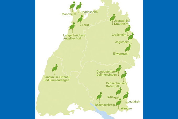 Karte: Storchenbetreuer*innen gesucht - Grafik: NABU