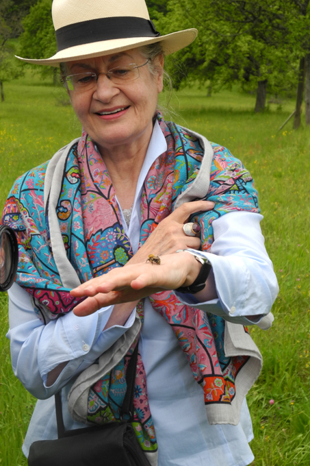 Zwischenlandung einer Ackerhummel auf der Hand von Wildbienen-Patin Ursula Cantieni. - Foto: Nina Wochner