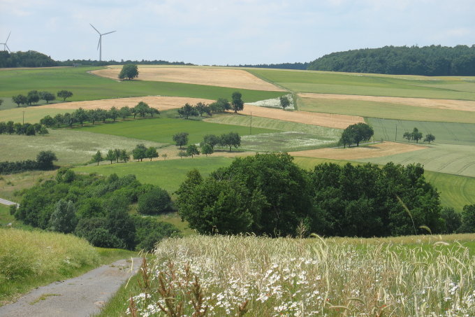 Bei der Umsetzung einer vielfältige Agrarlandschaft und dem Ausbau der Windenergie war die Landesregierung nur teilweise erfolgreich. - Foto: NABU/Silvia Huber