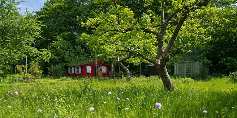 Naturgarten - Foto: NABU/Thomas Dröse