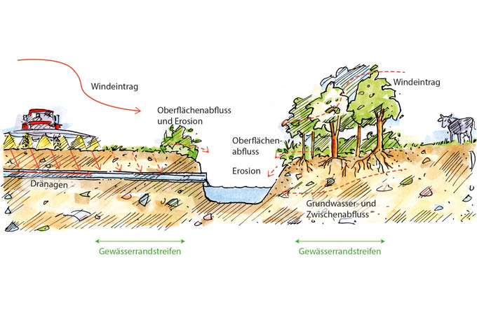 Grafik Gewässerrandstreifen - Quelle: Maerzke Design