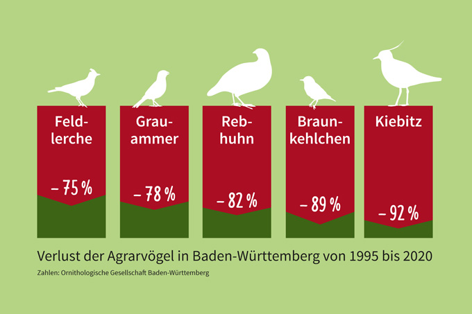 Agrarvögel in Baden-Württemberg - Grafik: NABU