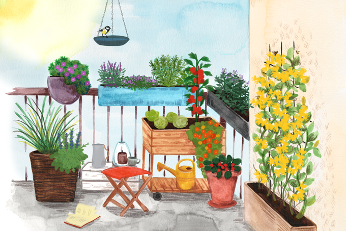 Pflanzen für den Sonnenbalkon - Illustration: NABU/Anne Quadflieg