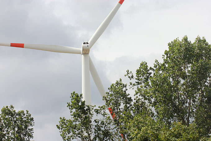 Die Natur- und Umweltschutzverbände fordern, dass bei Infrastrukturprojekten wie Windenergieanlagen grundsätzlich eine Umweltverträglichkeitsprüfung (UVP) durchgeführt werden muss. - Foto: Helge May
